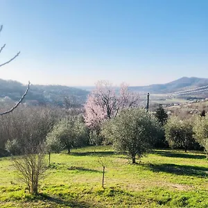 Locanda Tavern Di Arqua'